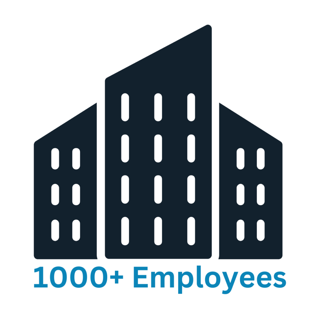 Large Businesses , Complete end-to-end it management, Enterprise solutions